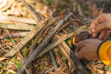 Light a wood fire with a match and dried autumn leaves. Starting a fire with basic elements is an essential life skill.