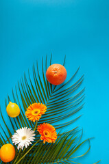 Obraz na płótnie Canvas Summer tropical fruit and green palm flowers layout blue background.Minimal flat lay