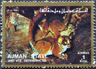 Ajman - circa 1973 : Cancelled postage stamp printed by Ajman, that shows Bushbaby (Family:...