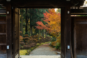 Japanese temple wooden door view, path to garden full of colorful vegetation in autumn.