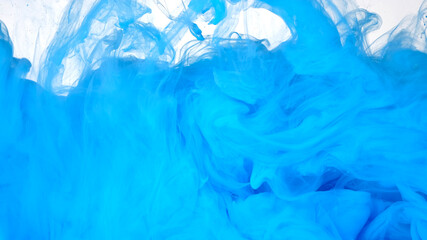 Obraz premium Blue paints are mixed in water. Colored cloud of ink on a white background. Blue watercolor ink in water on a white background.