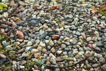 texture background pebbles