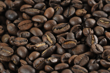 coffee beans - freshly roasted beans  close-up photo