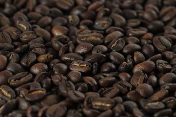 coffee beans - freshly roasted beans  close-up photo