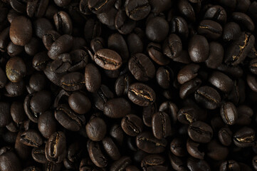 coffee beans - freshly roasted beans  close-up photo