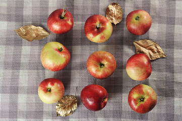 red ripe apples on a tablecloth