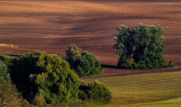 Landscape, Morava, Jižní Morava, South Moravia