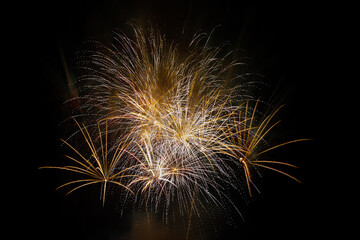 Fireworks in the night sky