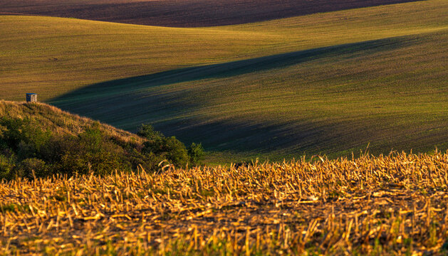 Landscape, Morava, Jižní Morava, South Moravia