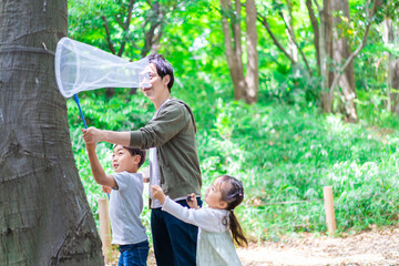 Fototapeta premium 虫採りをするお父さんと子どもたち