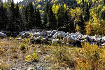sheep in the mountains