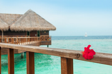 Water bungalow on the islands of the Maldives, a beach with palm trees and azure water. Vacation concept, travel to Paradise Beach in Maldives. A hotel in a tropical paradise.