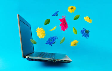 Laptop isolated with flowers on a blue background. Promising message and cheerful news announcement concept. Positive thinking and encouraging energy concept. Optimistic future, mood and atitude