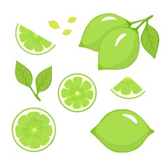 Lime fruits with slices and leaves on white background. Vector set of lime. Vector illustration for printing, backgrounds, wallpapers, packaging, greeting cards, posters, textile, seasonal design.