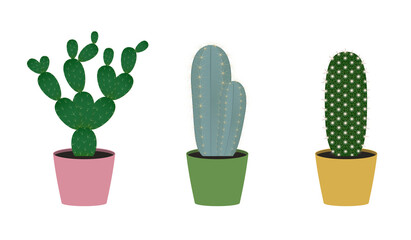 Set of three cacti