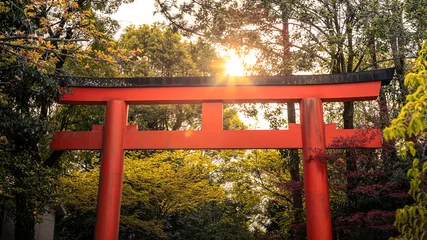 Badkamer foto achterwand Beautiful red tori gate at Maruyama of Kyoto. Park with japanese torii gateways © REC Stock Footage