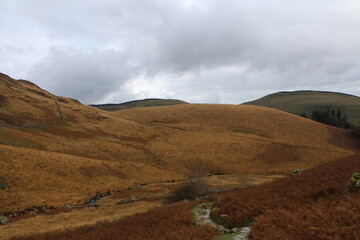 Cadair Idris Mountain Landscape Background