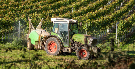 Hampshire, England, UK. 2021.  Tractor spraying vines in a Hampshire vineyard early autumn and...