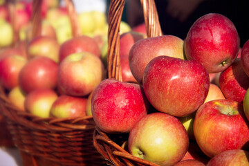 In large brown baskets, large red ripe apples lit by sunlight, in the background apples in a basket...