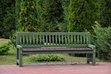 View of a beautiful wooden bench. Large green bench in the city park. Bench on the background of thuja.