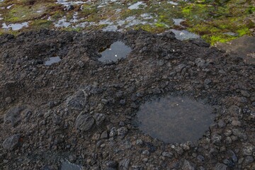 Puddle of water with rocks in it at the beach in Bali Indonesia