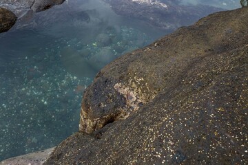 Puddle of water with rocks in it at the beach in Bali Indonesia