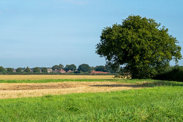 View over fields to Bishopthorpe village, North Yorkshire, England