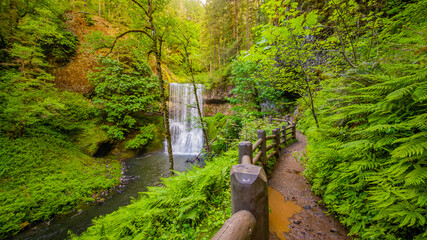 Waterfall in the green fairy forest. Path with wooden fence along small stream. Silver falls state park, USA