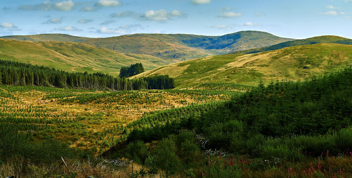 View of Pumlumon Fawr 752m the highest peak in the Cambrian Mountains Mid Wales UK. Taken from Mynedd Bychan, the ridge includes Pumlumon Fach, the skyline leads to Pen Pumlumon Arwystli on the left.