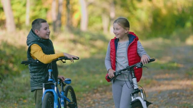 children with bicycles are standing and talking in nature