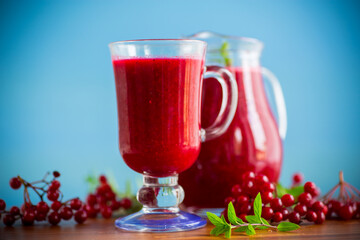 freshly squeezed thick natural juice with pulp from ripe red viburnum in a decanter