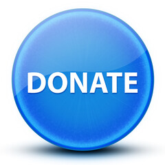 Donate eyeball glossy elegant blue round button abstract