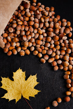 subject photography nuts and maple leaves autumn © Mariya Vlasenko
