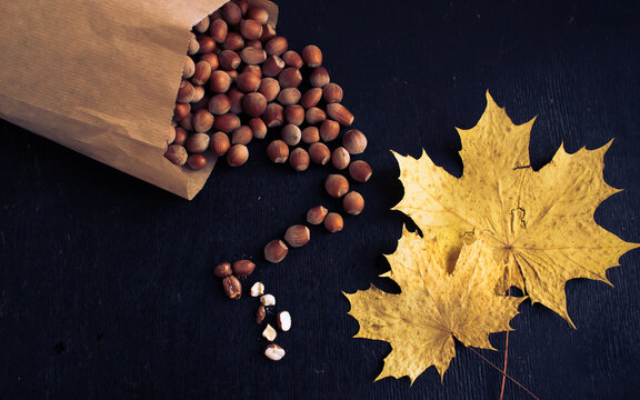 subject photography nuts and maple leaves autumn © Mariya Vlasenko