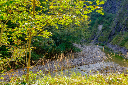 river grosser bach in the upper austrian national park kalkalpen near reichraming