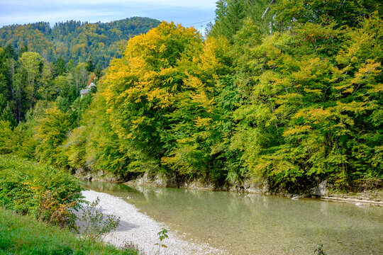 river grosser bach in the upper austrian national park kalkalpen near reichraming