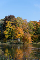 Trees at water in autumn time.