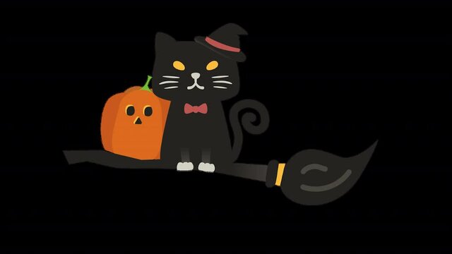 Cute Witch Cat Riding a Broom