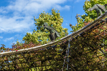 Schwetzingen, Germany. Figures of birds on the fountain "Bird Theater"