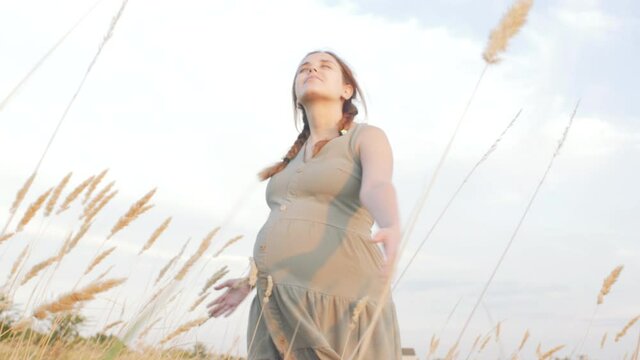 young happy beautiful pregnant woman walks in field among dry fluffy grass at sunset, relaxation on summer nature, preparation for childbirth, healthy motherhood