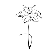 one stylized blooming flower on a short stalk without leaves in black lines on a white background