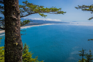 Fototapeta na wymiar View on beautiful beach and blue sea. Huge spruce. Cape lookout trail, Oregon, USA