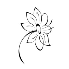 one stylized blooming flower on a short stalk without leaves in black lines on a white background