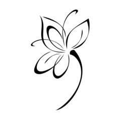 one stylized blooming flower on a short stalk without leaves in black lines on a white background