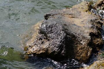 The days are getting shorter