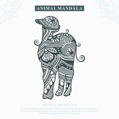 ALPACA Mandala Vector. Vintage decorative elements. Oriental pattern, vector illustration.