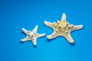 Fototapeta na wymiar Starfish isolated on a blue background. One dried five finger fish or sea star macro. Summer vacations and sea holidays design element for greeting card