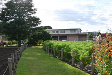 花と緑の広場にあるきれいに整えられている散策路