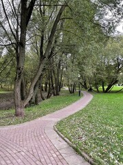 path in the park