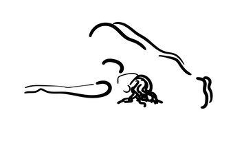 concise drawings depicting yoga poses